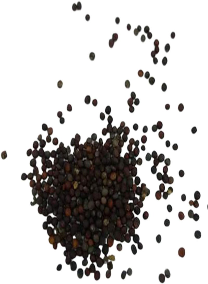 GGOOT 100Pcs Baby Bok Choy Seeds Fast Growing Vegetables Plants Seeds for Planting Garden Outdoor Seed - Image 5