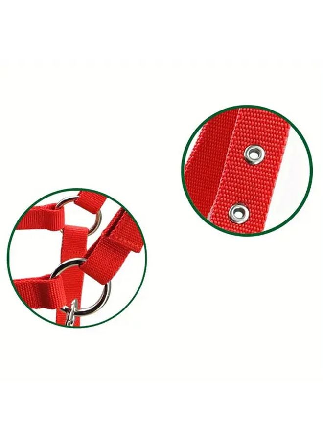 أزرق مقاس M لجام حصان ناعم قابل للتعديل طوق رأس من الف fleece مشبك معدني - Image 5