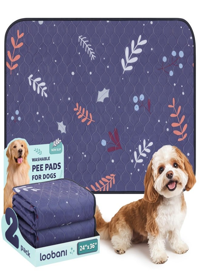 LOOBANI Reusable Pee Pads for Dogs: 2 Pack Washable Puppy Training Pads 24" x 36", Waterproof Dog Pee Pads Non-Slip, Absorbent Dog Whelping Pad for Playpen, Crate, Floor, Sofa, Purple - Image 1