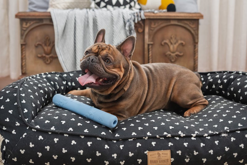 Harry Barker Rubber Balls and Chew Stick - Rubber Bone for Dogs - Image 2