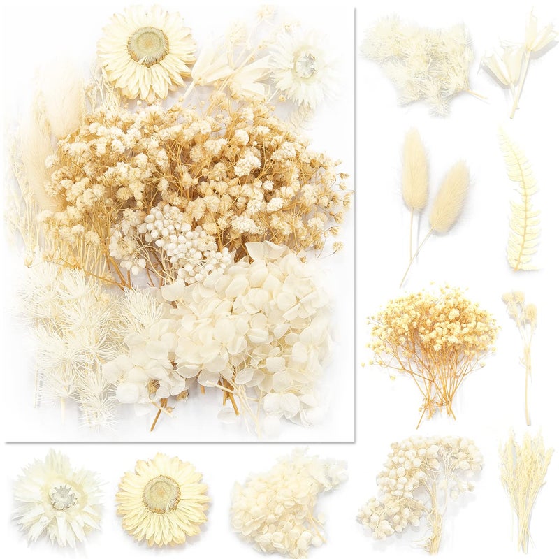 Vignee Real Dried Pressed Leaf FlowersMultiple Colorful Pressed Flowers Daisies for Craft Resin Jewelry Making Art Craft DIYWhite