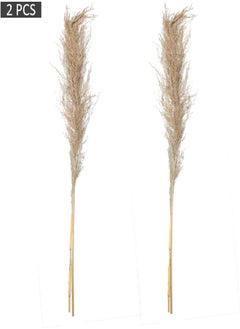 Yatai 2Pcs Natural Dried Pampas Grass For Home Hotels Office Wedding Decoration - Natural Grass For Flower Vase Filling And Other Decor (Gray) - pzsku/Z2EF4CABB7471540FAC73Z/45/_/1716820371/7999e767-5e1c-421e-88d1-a436985605ce