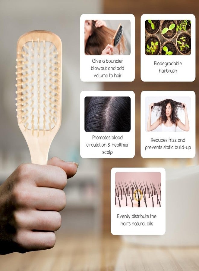 Organic B Wooden Rectangular Small Hair Brush Comb for Women and Men - Bamboo Brush for Hair Detangling, and Smooth Styling - Anti-Static, Scalp Massage for Long, Curly, Thick Hair - Image 4
