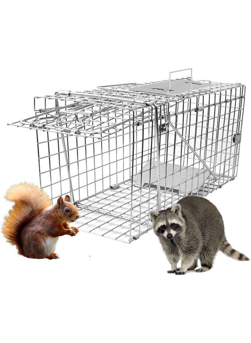 MostNow Live Animal Cage Trap, Heavy Duty Folding Raccoon Traps, Humane Cat Trap for Stray Cats, Raccoons, Squirrel, Skunk, Mole, Groundhog, Armadillo, Rabbit - Image 1