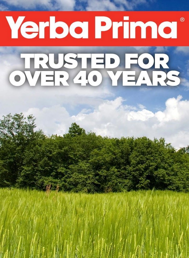 Yerba Prima Daily Fiber Formula Powder - 12 oz (Pack of 2) - Soluble & Insoluble Dietary Fiber Supplement - Colon Cleanse - Gut Health - Vegan, Non-GMO, Gluten-Free - Image 5