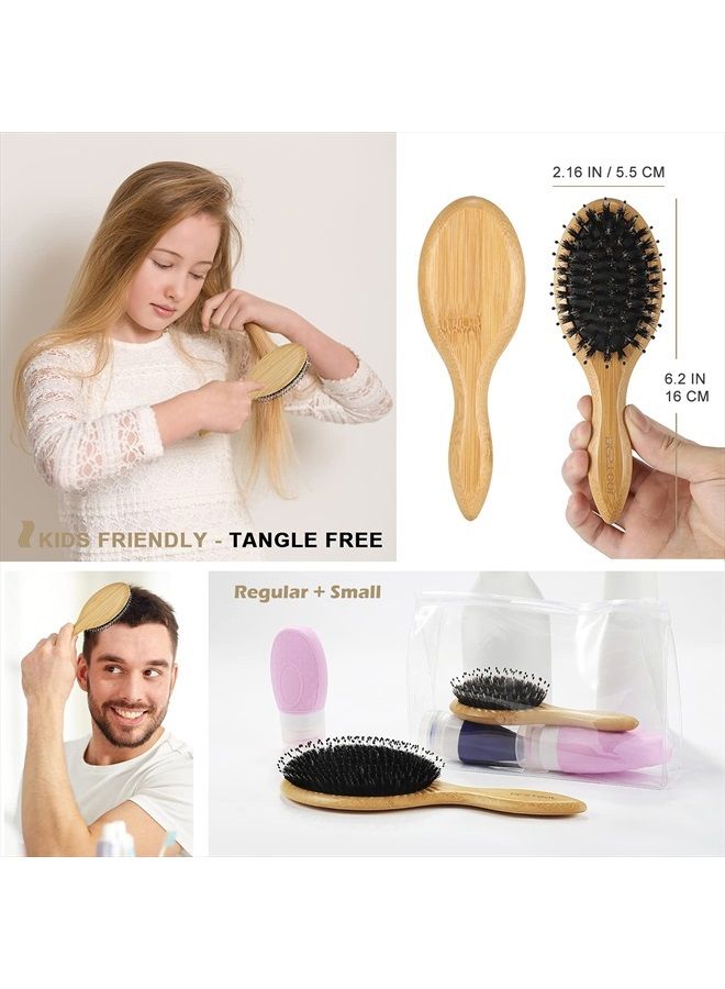 BESTOOL Hair Brush (Regular & Small), Boar Bristle Hair Brushes for Women Men Kids Thick Fine Curly Hair, Hairbrush for Detangling, Soften & Silky Shine - Image 5