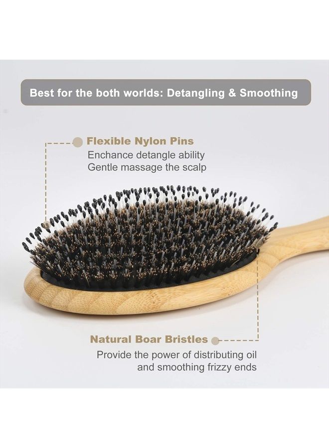 BESTOOL Hair Brush (Regular & Small), Boar Bristle Hair Brushes for Women Men Kids Thick Fine Curly Hair, Hairbrush for Detangling, Soften & Silky Shine - Image 2