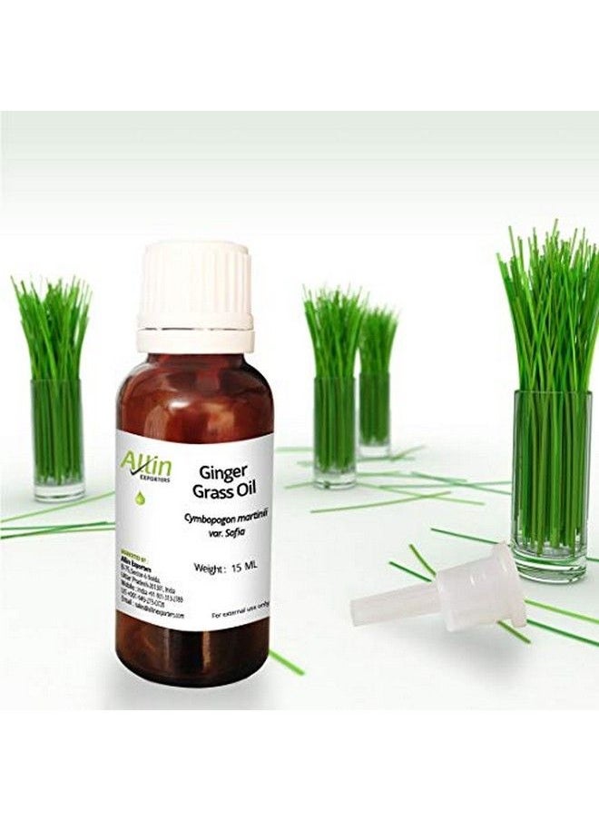 Allin Exporters Ginger Grass Oil 100% Pure Natural & Undiluted 15 Ml  - Image 2