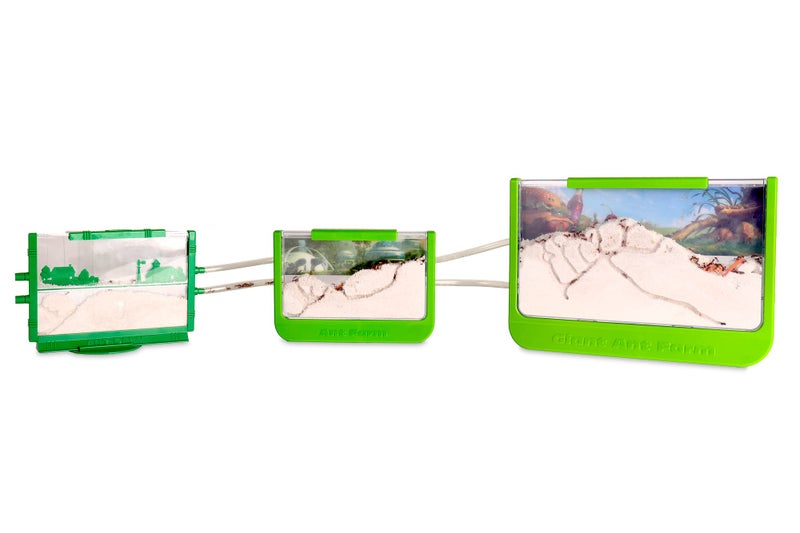 Uncle Milton Ant Farm Antopia Rainforest Ant Habitat - Observe Live Ants - STEM -Nature Learning Toy Green For 6 - 15 years - Image 3