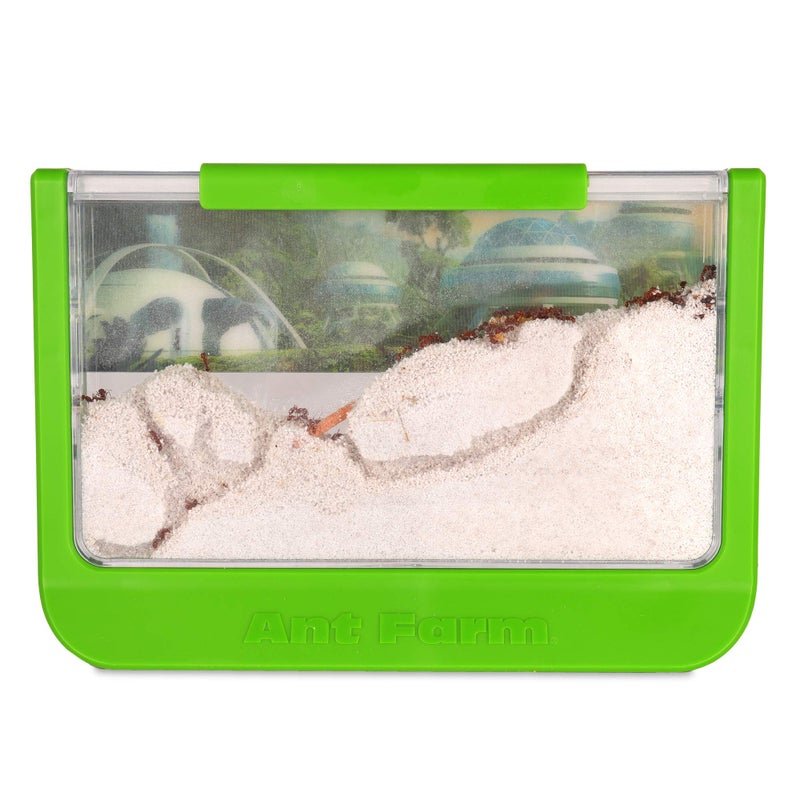Uncle Milton Ant Farm Antopia Rainforest Ant Habitat - Observe Live Ants - STEM -Nature Learning Toy Green For 6 - 15 years - Image 2