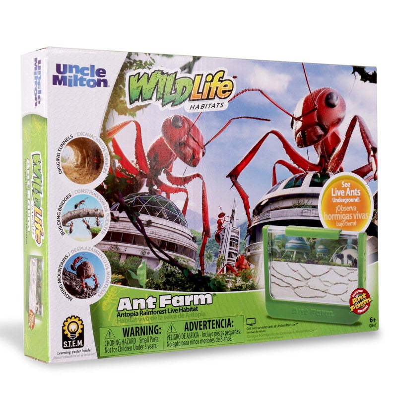 Uncle Milton Ant Farm Antopia Rainforest Ant Habitat - Observe Live Ants - STEM -Nature Learning Toy Green For 6 - 15 years - Image 4