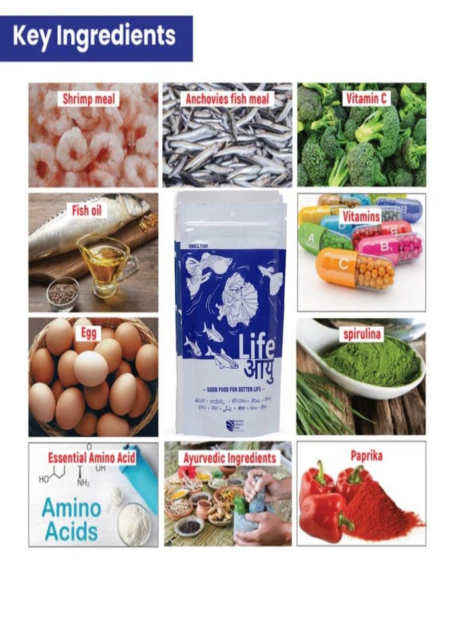 THE BRREED Life Aayu Pellet Fish Food for Freshwater Fishes (Small, Pack of 1) and Plus fit (20 ml) - Image 3