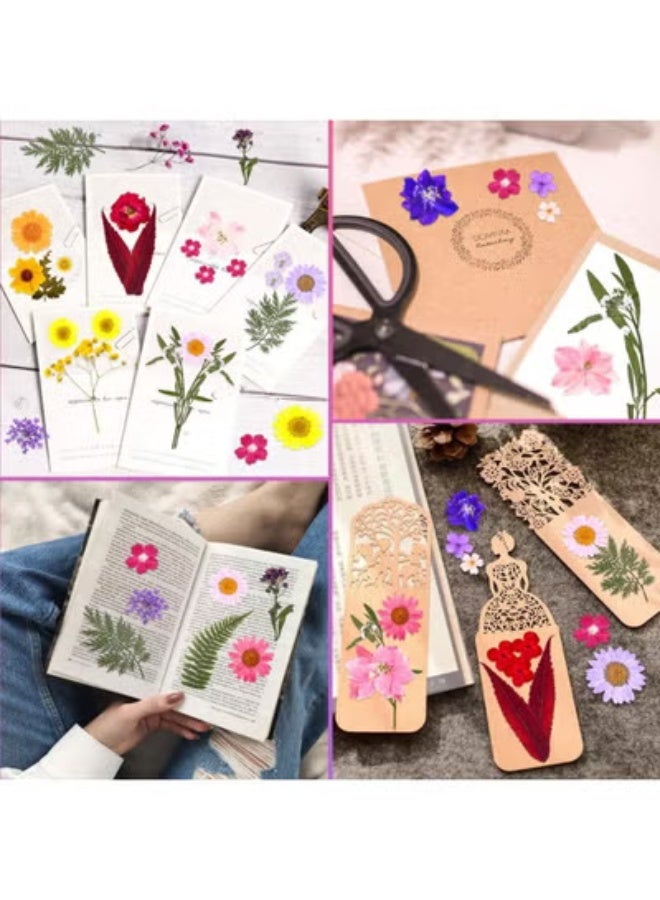 fantasize 140 Pieces Of Floral Patterns, Resin Dried Pressed Flowers, Pressed Flowers, For Diy Resin Jewelry Making Floral Decoration, Candles, Soap Making - Image 5