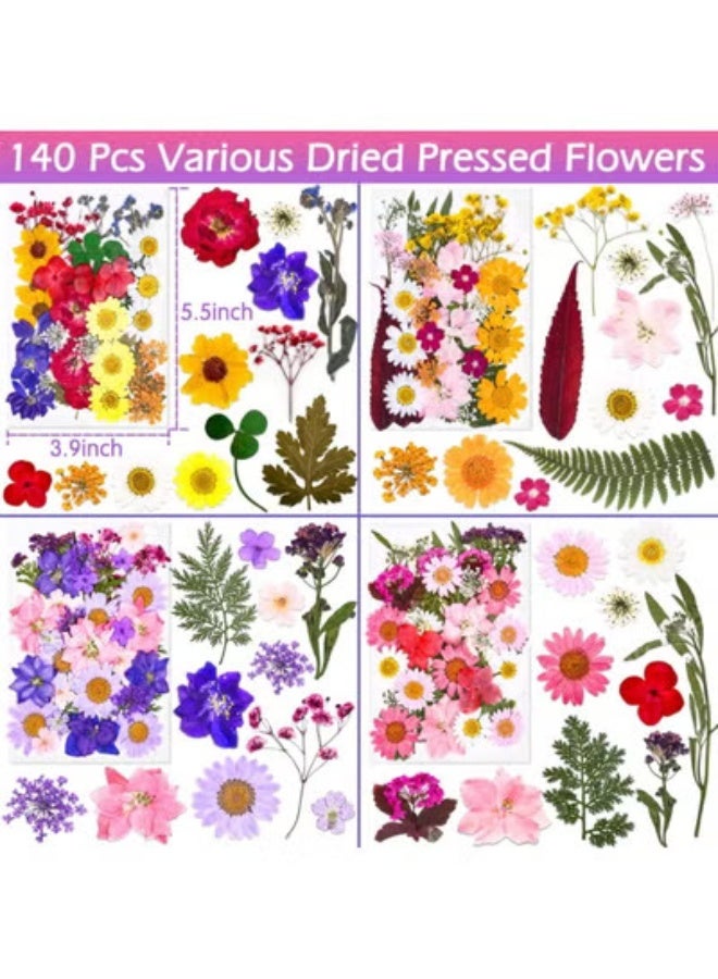 fantasize 140 Pieces Of Floral Patterns, Resin Dried Pressed Flowers, Pressed Flowers, For Diy Resin Jewelry Making Floral Decoration, Candles, Soap Making - Image 4
