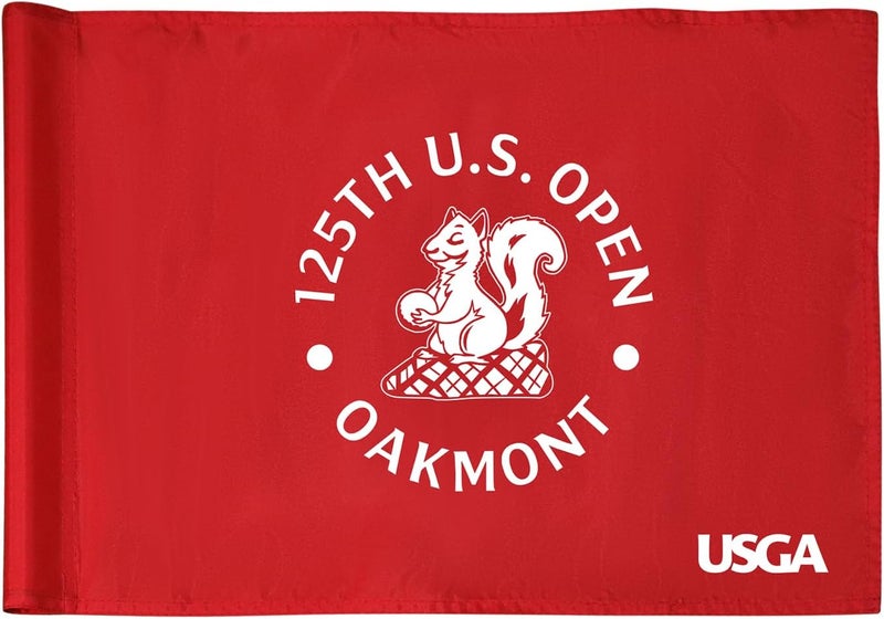 COGOLFING Standard Golf Flag U.S.Tour 2025, Tube Insert, 14x20 Inch 420D Nylon Dual-Sided Silk-Screen, Ideal for Practice Putting Green, Driving Range, Course, Club, Red, 1-Pack - Image 1