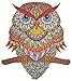 HARTMAZE Wooden Jigsaw Puzzles Colorful Owl HM04 Small Bird Puzzle 206 Unique Shape Jigsaw PiecesBeautiful Animal for Adults and 8 Years Age up Teens Best for Family Game Play Collection - Image 3