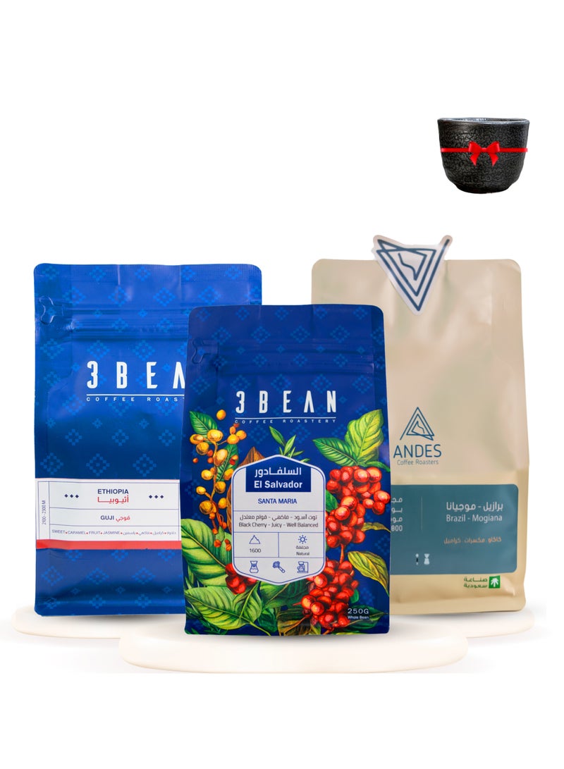 MIBRU MIBRU 3 Luxurious Whole Coffee Beans for Specialty Coffee – Premium Roasted Beans for Filter, V60, Espresso, French Press & Pour Over – Gourmet Coffee Gift Set with Ceramic Cup – Single Origin Arabica Beans – Freshly Roasted Whole Bean Coffee for Home & Barista Use 