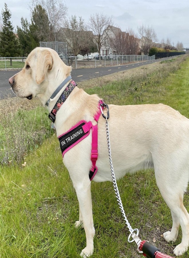 Ymapinc 6Pcs Service Dog Patch, Service Dog in Training Patches Removable Do Not Pet Patch for Harness Vest or Collar, in Training Patches with Hook and Loop Tape - Image 5