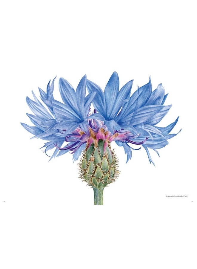 The Souls Of Flowers - Image 5