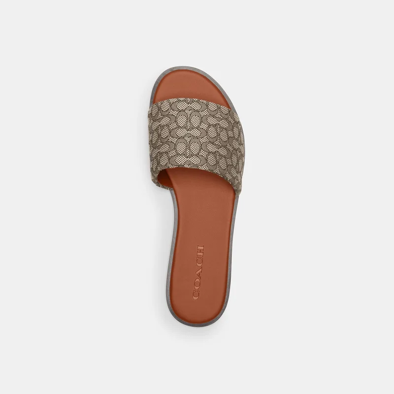 كوتش هولي ميني سيج