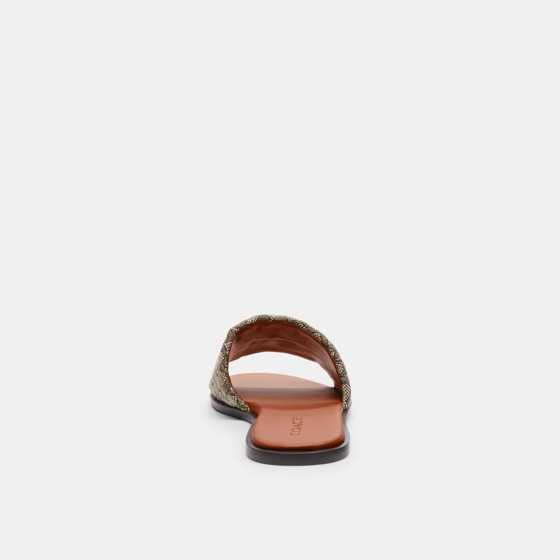 COACH HOLLY MINI SIG