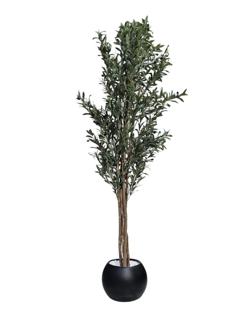 Al-Rawasem House A fruitful olive tree with a large, attractively designed black pot. Make your home more elegant. Dimensions: 220cm x 180cm x 160cm - Image 4