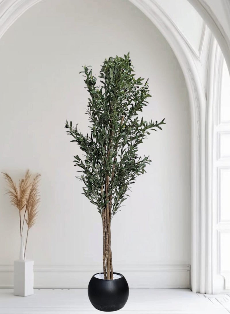 Al-Rawasem House A fruitful olive tree with a large, attractively designed black pot. Make your home more elegant. Dimensions: 220cm x 180cm x 160cm - Image 1
