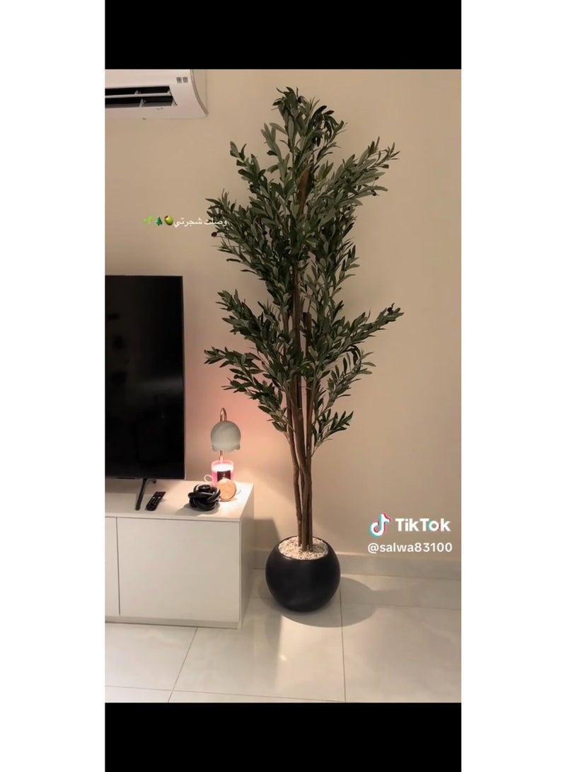 Al-Rawasem House A fruitful olive tree with a large, attractively designed black pot. Make your home more elegant. Dimensions: 220cm x 180cm x 160cm - Image 2