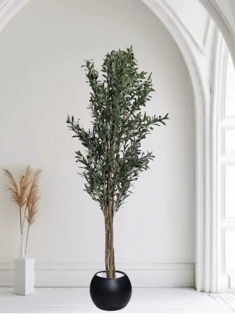 Al-Rawasem House A fruitful olive tree with a large, attractively designed black pot - Image 3