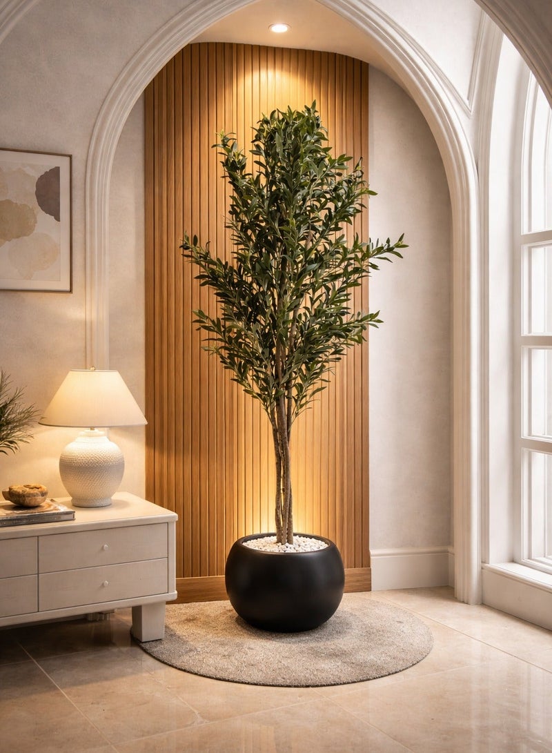 Al-Rawasem House A fruitful olive tree with a large, attractively designed black pot - Image 1