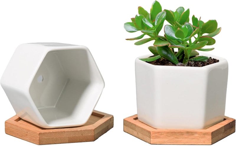 T4U Small White Succulent Planter Pots with Bamboo Tray Hexagon Set of 2, Geometric Ceramic Cactus Plant Holder, Succulent Plant Gifts for Gardener Women Coworker, Home Office Table Desk Decoration - Image 1