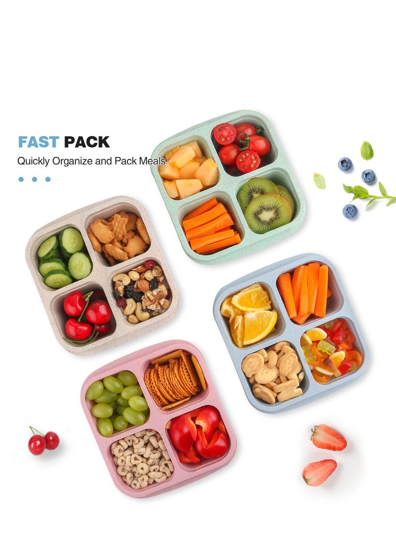 MIXDE Reusable 4-Compartment Bento Snack Boxes (4 Pack) - Perfect Food Storage Containers for Kids and Adults, Ideal for School, Compact and Stackable  - Image 3