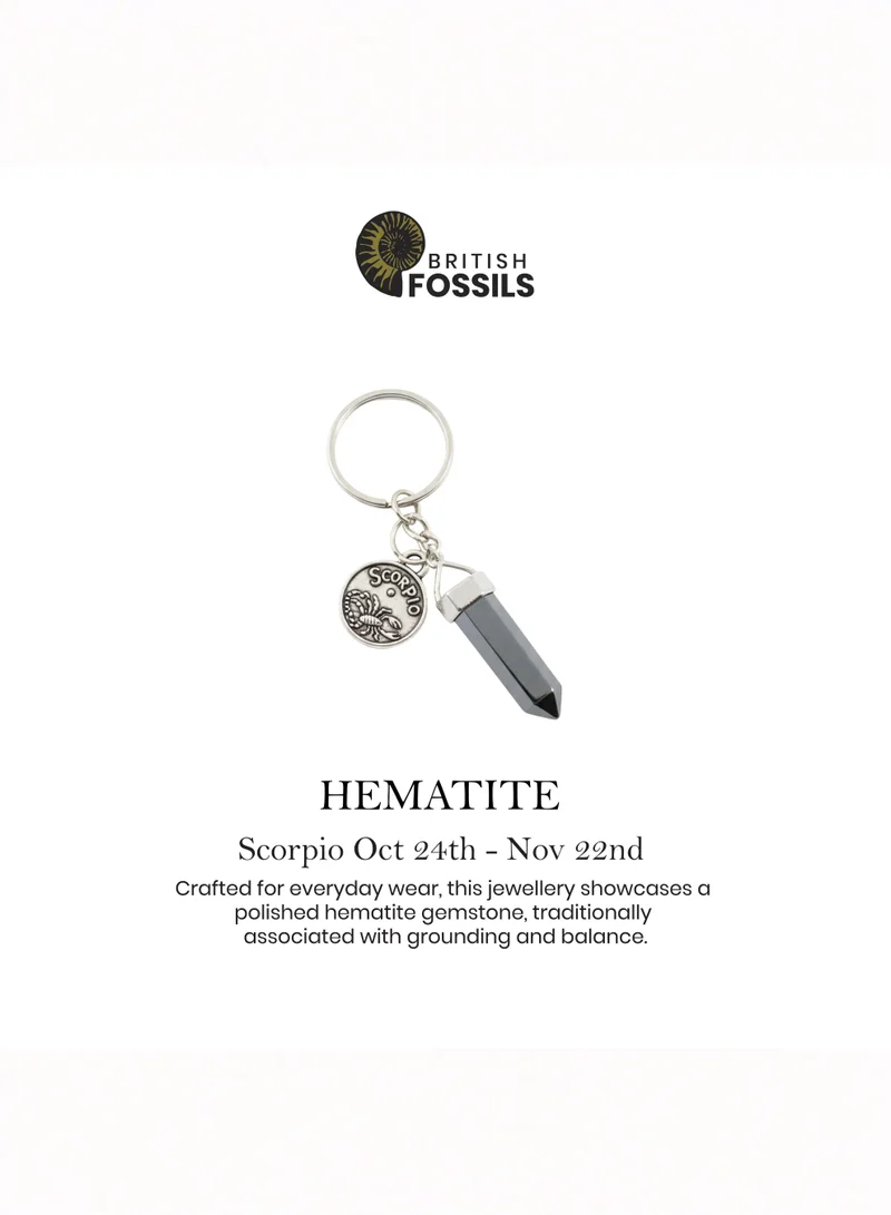 British Fossils Scorpio Zodiac Keyring Scorpio - Hematite for Women | Best Price UAE