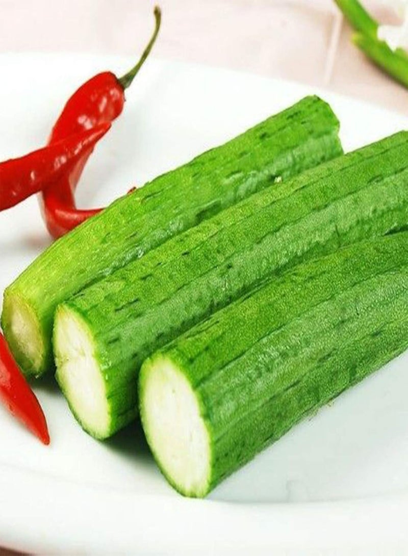 GGOOT 10Pcs Long Luffa Seeds Sponge Cucumber Towel Gourd Green Vegetable Farm Plant - Image 3