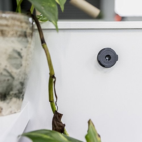 Quad Lock Adhesive Wall Mount - Twin Pack - Image 2