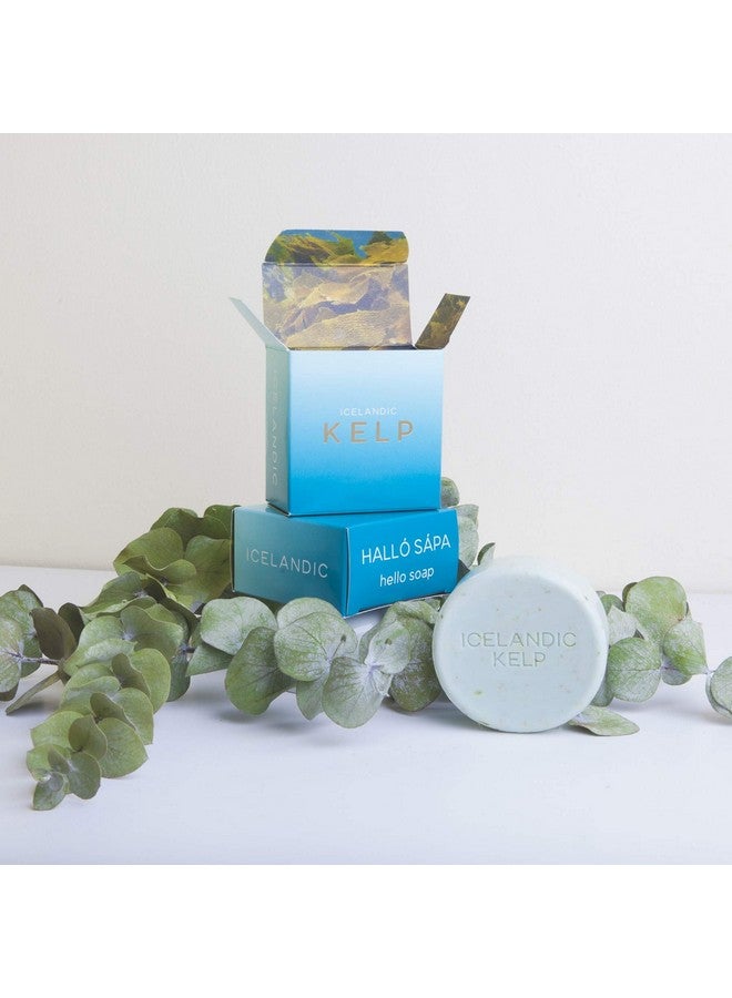 Kalastyle Exfoliating Bars Of Soap From Natural Ingredients Assorted Scents Icelandic Kelp And Moss Set Of 2 4.3 Ounce Each - Image 3