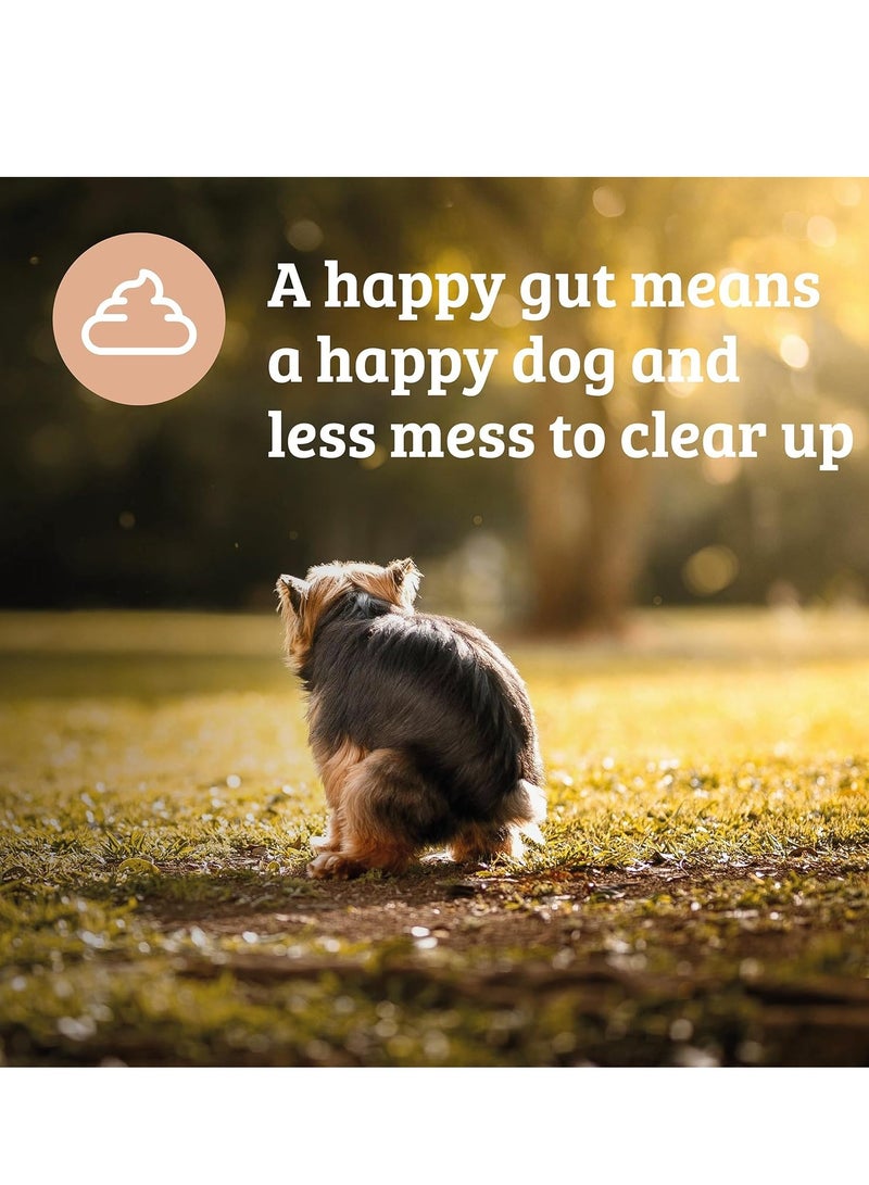 Omni Dog Supplements Pre and Probiotics for Dogs Gut Health One a Day Vet Grade Dog Chews with Inulin Kaolin and Bacillus Velezensis  Enhances Digestive Health 30 Servings Large Dog 30 plus Kg - Image 5