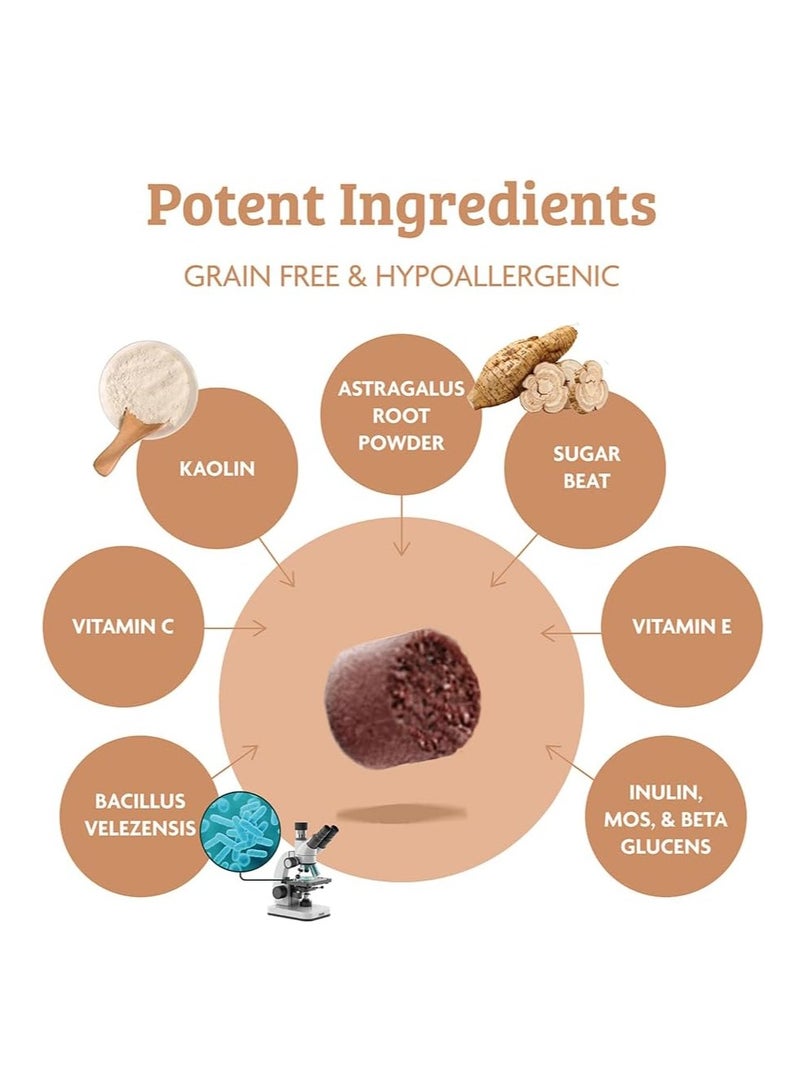 Omni Dog Supplements Pre and Probiotics for Dogs Gut Health One a Day Vet Grade Dog Chews with Inulin Kaolin and Bacillus Velezensis  Enhances Digestive Health 30 Servings Large Dog 30 plus Kg - Image 2