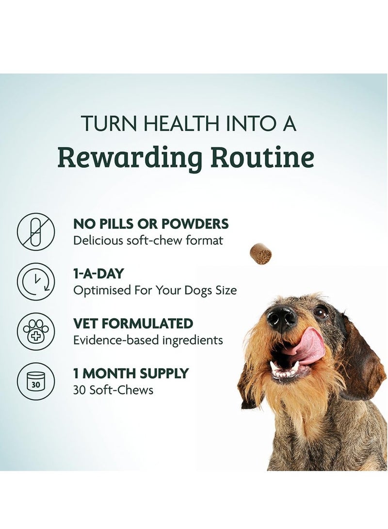 Omni Dog Supplements Pre and Probiotics for Dogs Gut Health One a Day Vet Grade Dog Chews with Inulin Kaolin and Bacillus Velezensis  Enhances Digestive Health 30 Servings Large Dog 30 plus Kg - Image 3