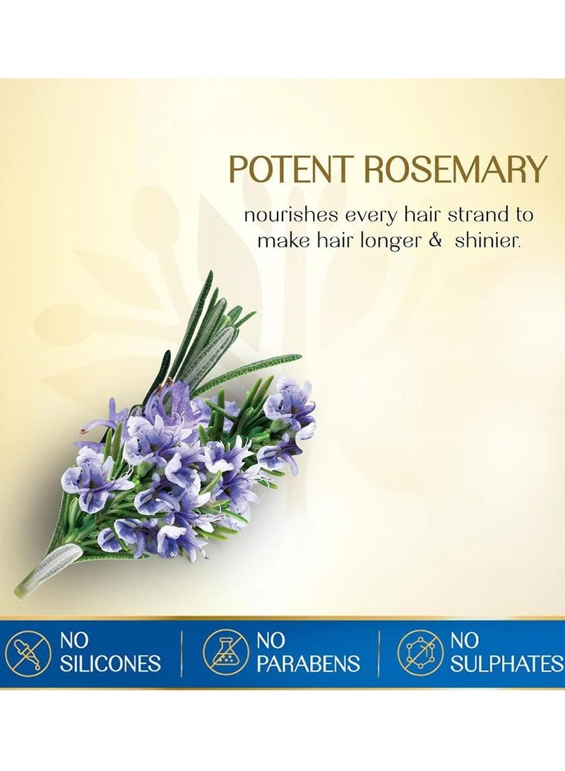 هيربس إنديا زيت شعر الروزماري و 7 بذور أعشاب 180 مل - Image 3