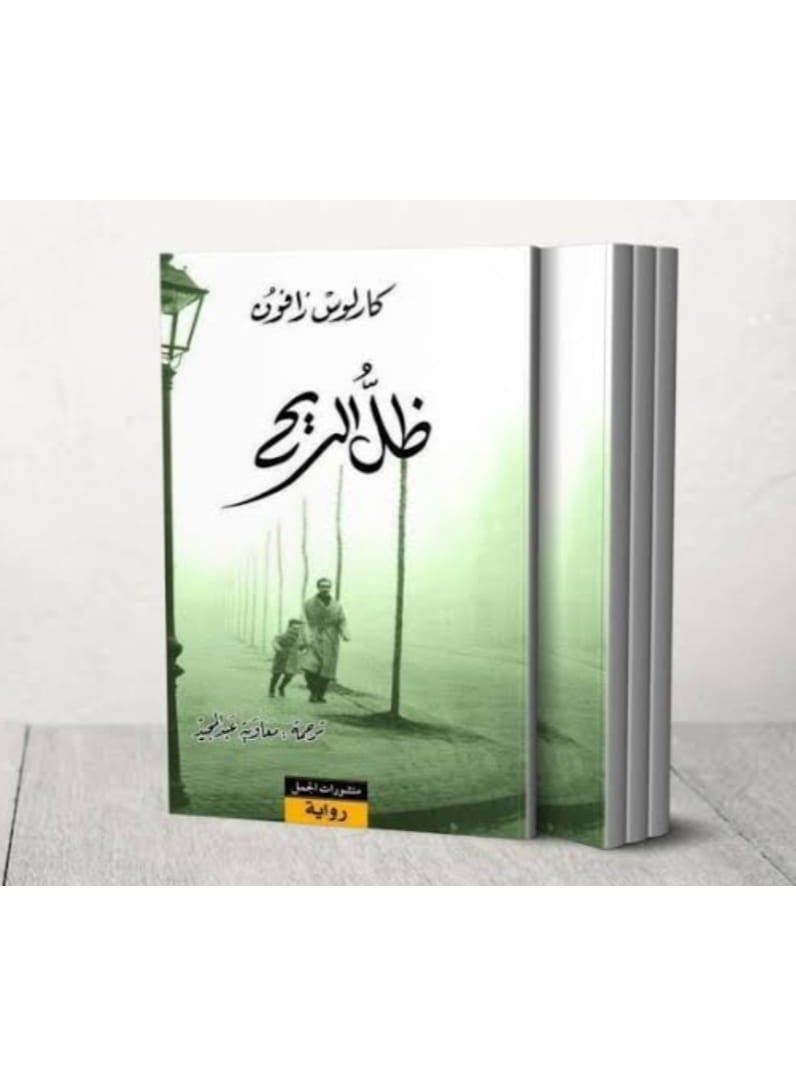 The novel "The Shadow of the Wind" by the Spanish writer Carlos Ruiz Zafón.