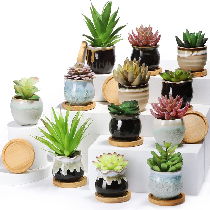 Remerry 24 Pcs Small Succulent Pots Bulk with Drainage Assorted 2.5 Inch Mini Ceramic Succulent Planters Pot with Coaster Bamboo Plant Tray Planting Pots for Home Office Garden (Rich Color) - Image 1