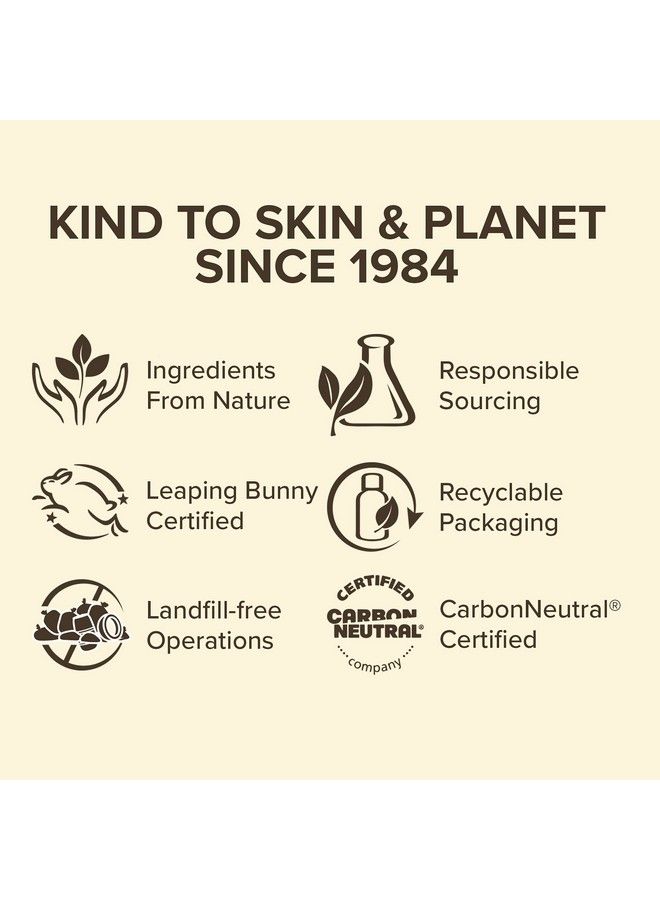 Burt's Bees Gifts 4 Lip Balm Products Balm Bouquet Spring Set Classic Beeswax Vanilla Bean Cucumber Mint & Coconut Pear (4 Pack) - Image 3