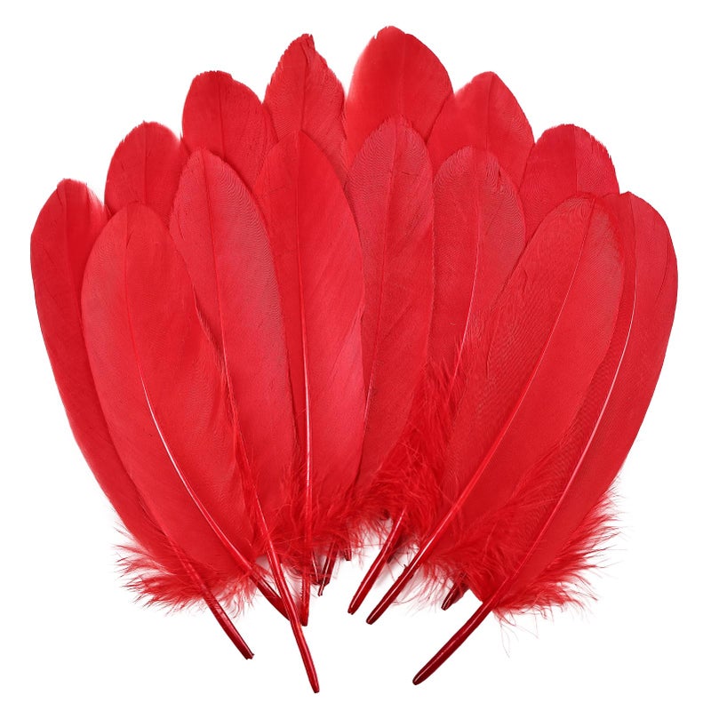 THARAHT 120pcs Red Goose Feathers Natural Bulk 6-8 inch 15-20cm for Crafts DIY Cosplay Wedding Party Halloween Decoration Goose Nagoire Feathers - Image 1