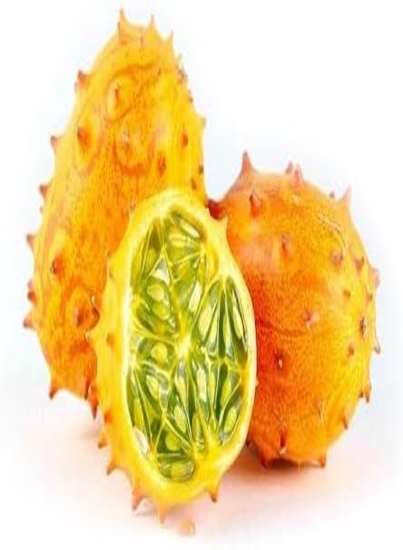 جي جوت 25 قطعة من بذور فاكهة البطيخ الكيوانو الطازجة - Image 1