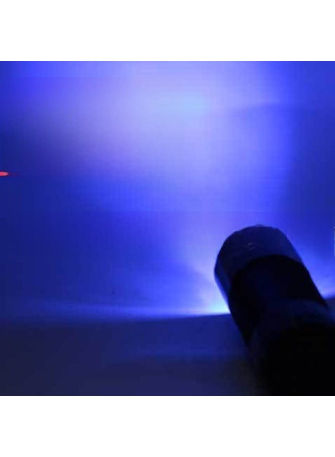 9LED Purple Light Ultraviolet Flashlight Banknote Detection Mini Nine Light Mask Nail Art UV Curing Fluorescent Agent Detection Pen-Color:Blue One-handed Electric + Tail Rope + Opp Bag  - Image 2