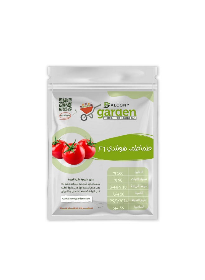 Dutch hybrid tomato seeds (F1), 10 seeds for home cultivation