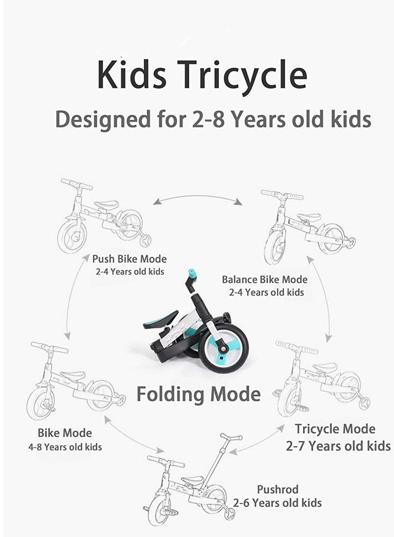 5-in-1 Kids Tricycle/ Balance Bike/ Push Bike with Push Bar for 2-8 Yrs Kids (Blue) - Image 4