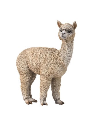Collecta - Alpaca - 88960 - pzsku/Z2F17D51A21F096DBDE35Z/45/_/1683975049/0e48dce0-6441-42b3-84bb-bc488ef346d2