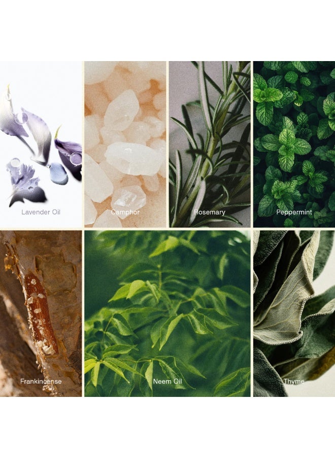 ISCENT | Breathe Easy Fragrance Oil for Ensō Diffuser (100 ml) - Image 2